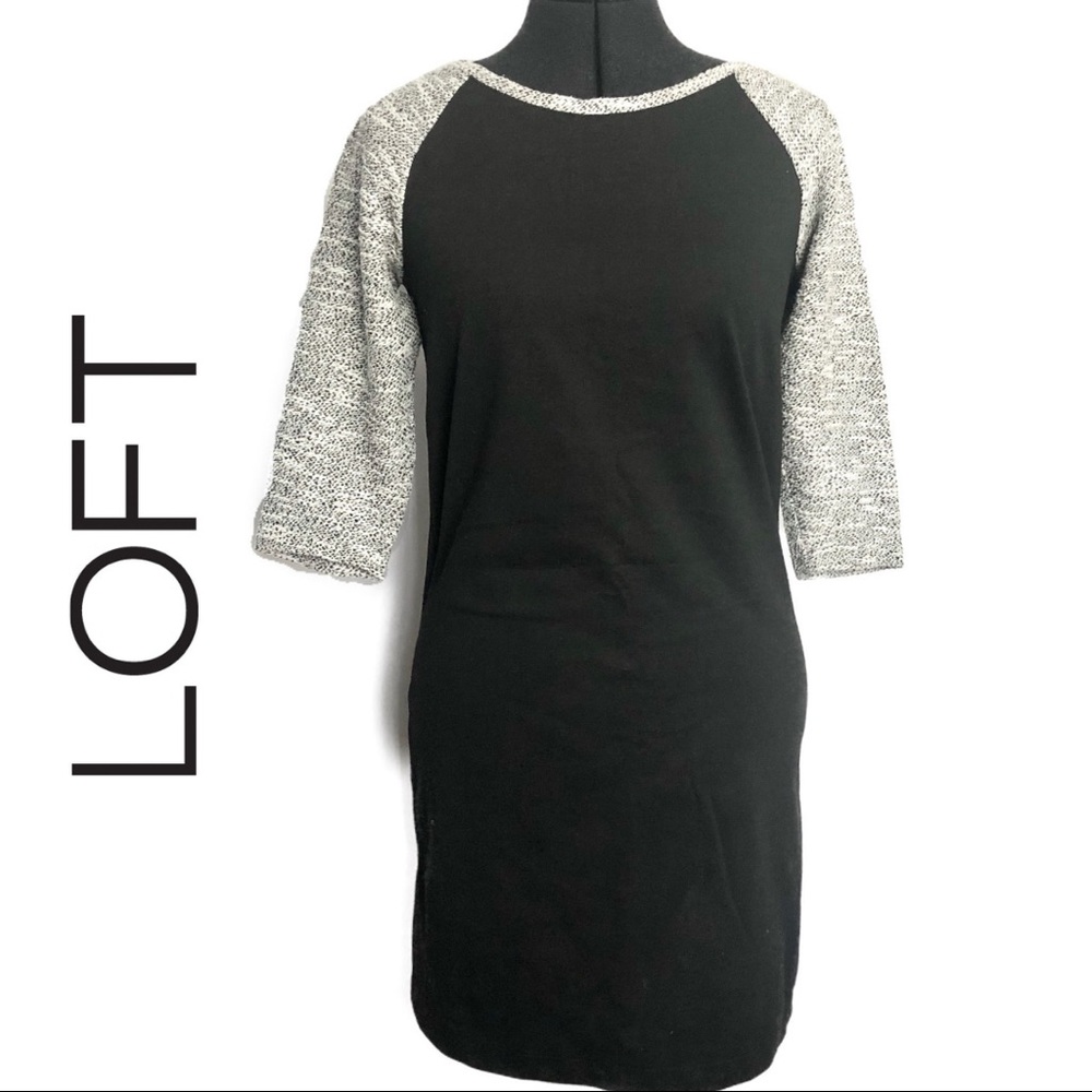 LOFT | Shift Dress Quarter Sleeve | Size: 6